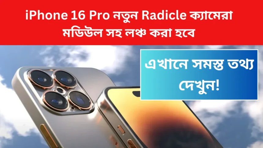 iPhone 16 Pro Launch Date in India